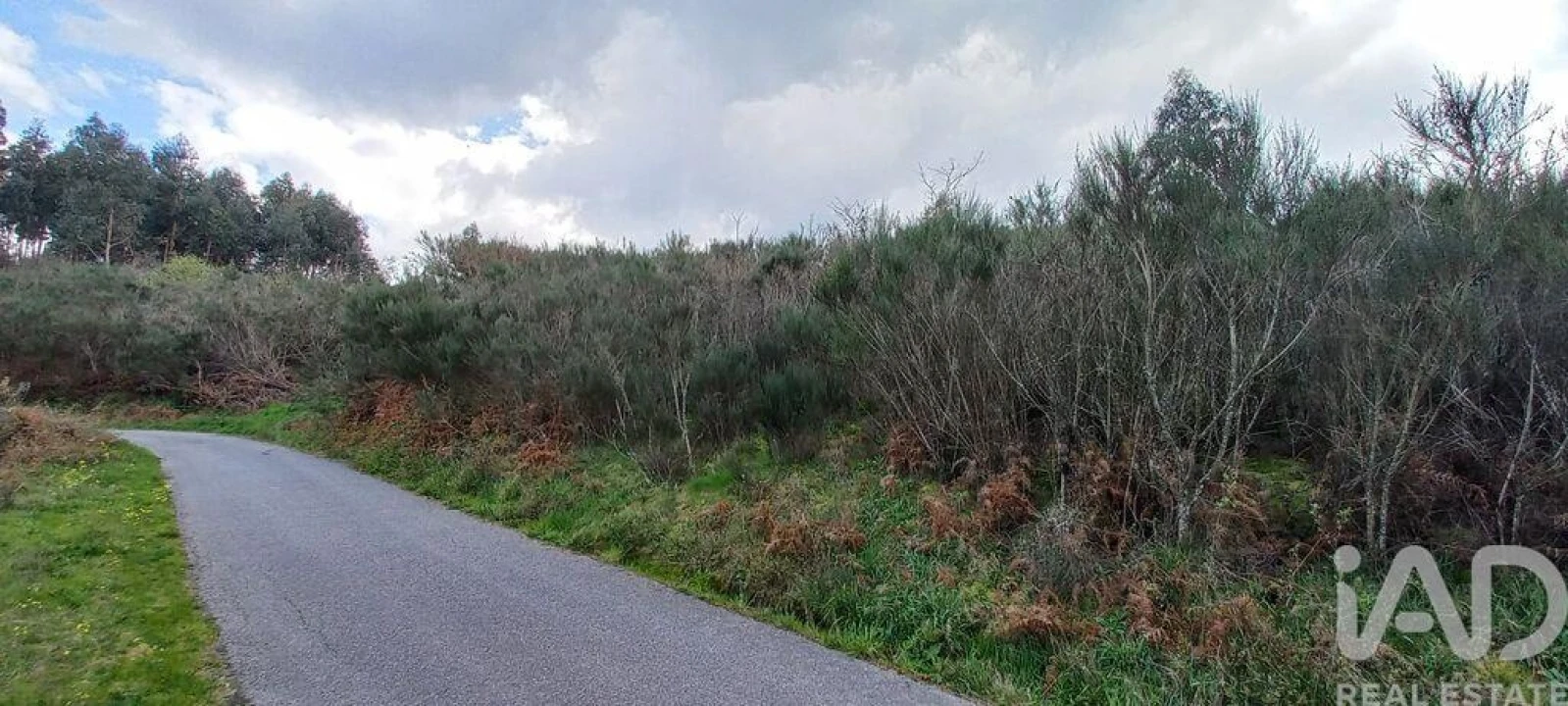 Moradia para Venda em Cambra e Carvalhal de Vermilhas Foto 30