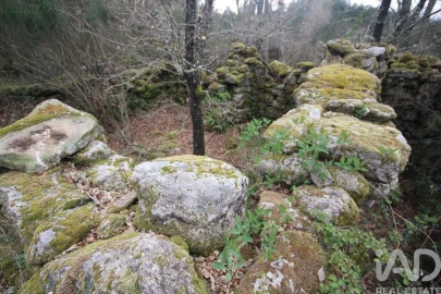 Moradia para Venda em Cambra e Carvalhal de Vermilhas