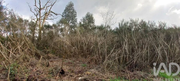 Moradia para Venda em Cambra e Carvalhal de Vermilhas