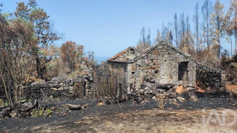 Moradia para Venda em Cambra e Carvalhal de Vermilhas