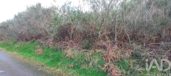Moradia para Venda em Cambra e Carvalhal de Vermilhas