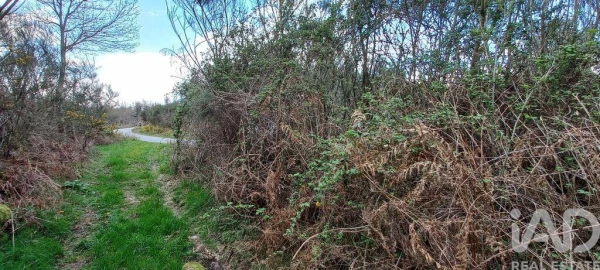 Moradia para Venda em Cambra e Carvalhal de Vermilhas