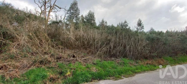 Moradia para Venda em Cambra e Carvalhal de Vermilhas