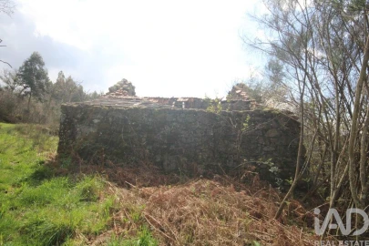 Moradia para Venda em Cambra e Carvalhal de Vermilhas