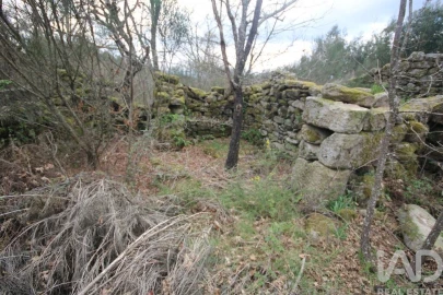 Moradia para Venda em Cambra e Carvalhal de Vermilhas