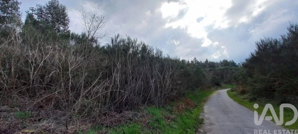 Moradia para Venda em Cambra e Carvalhal de Vermilhas