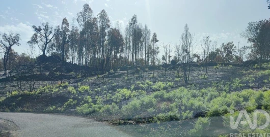 Moradia para Venda em Cambra e Carvalhal de Vermilhas