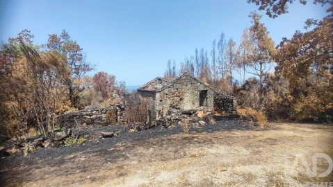 Moradia para Venda em Cambra e Carvalhal de Vermilhas