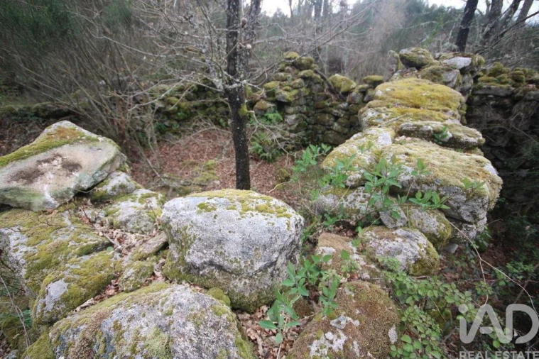 Moradia para Venda em Cambra e Carvalhal de Vermilhas Foto 35