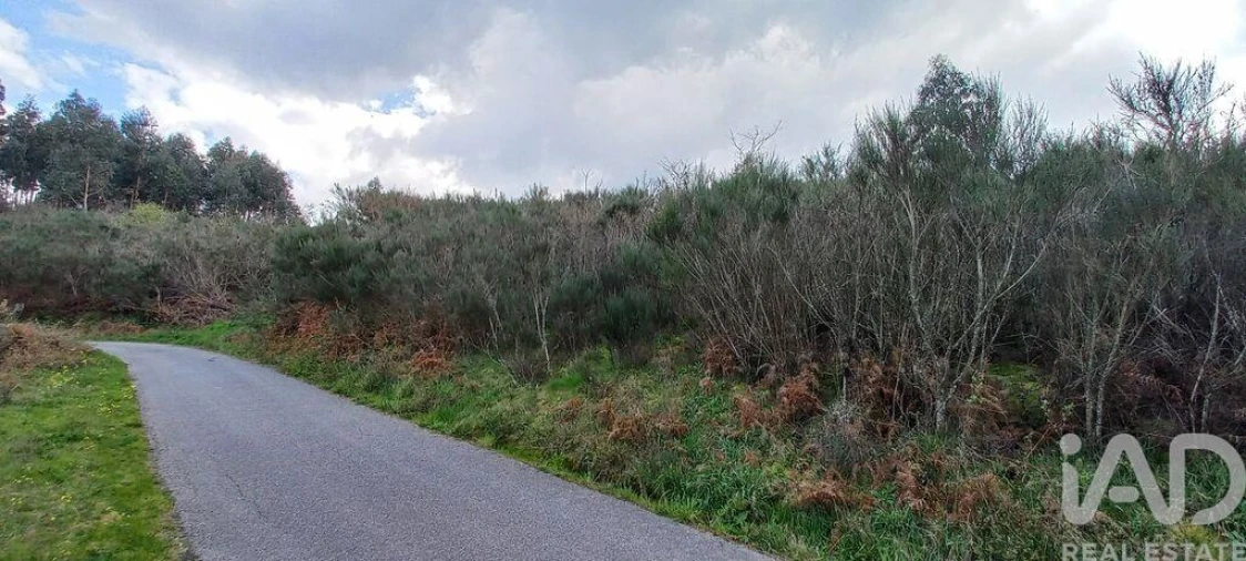 Moradia para Venda em Cambra e Carvalhal de Vermilhas Foto 30