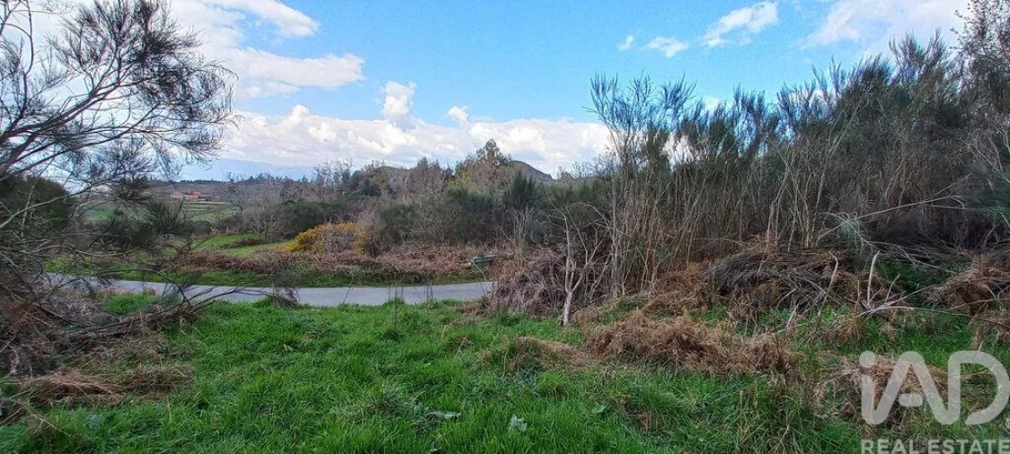 Moradia para Venda em Cambra e Carvalhal de Vermilhas Foto 28