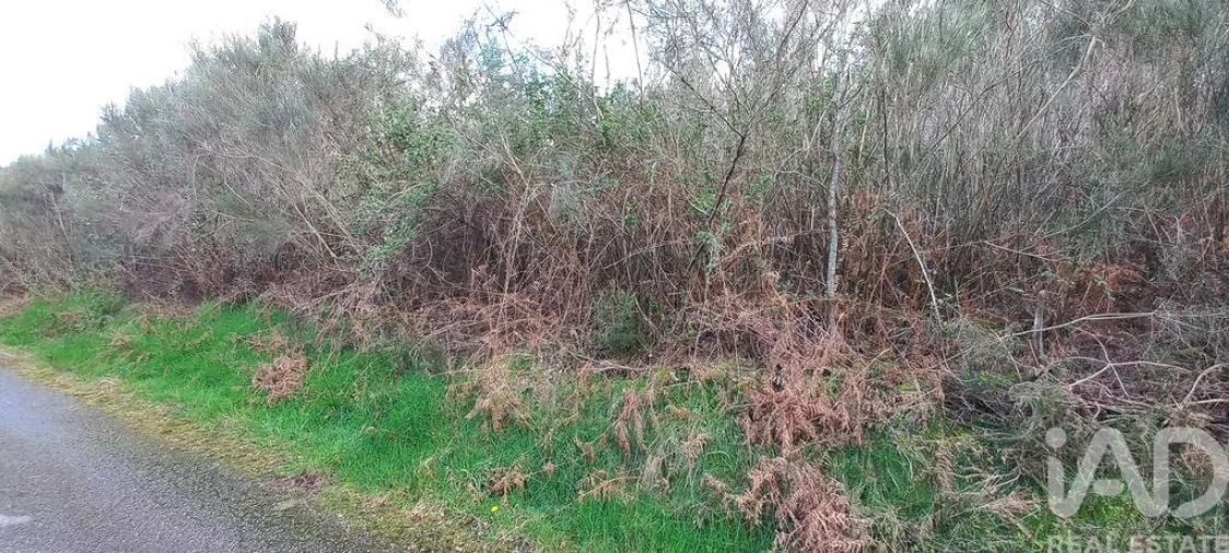 Moradia para Venda em Cambra e Carvalhal de Vermilhas Foto 26