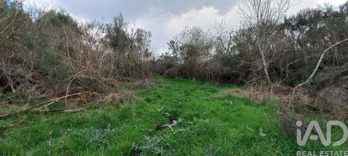 Moradia para Venda em Cambra e Carvalhal de Vermilhas Foto 24