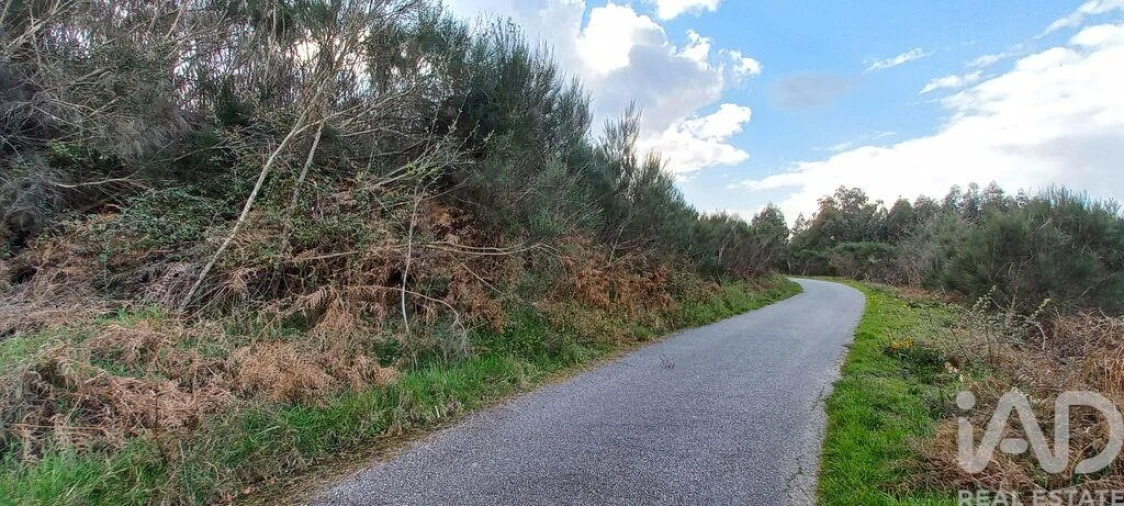 Moradia para Venda em Cambra e Carvalhal de Vermilhas Foto 29