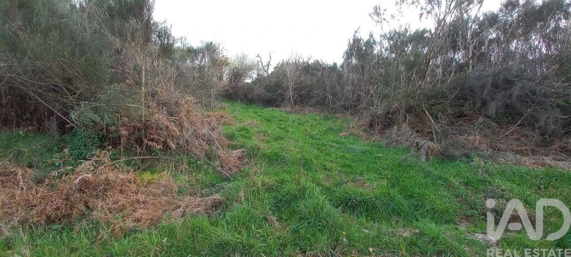 Moradia para Venda em Cambra e Carvalhal de Vermilhas Foto 25