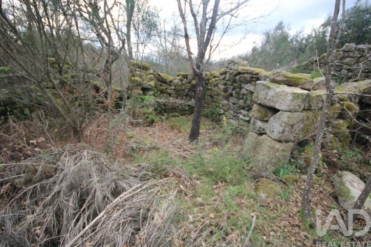 Moradia para Venda em Cambra e Carvalhal de Vermilhas Foto 37