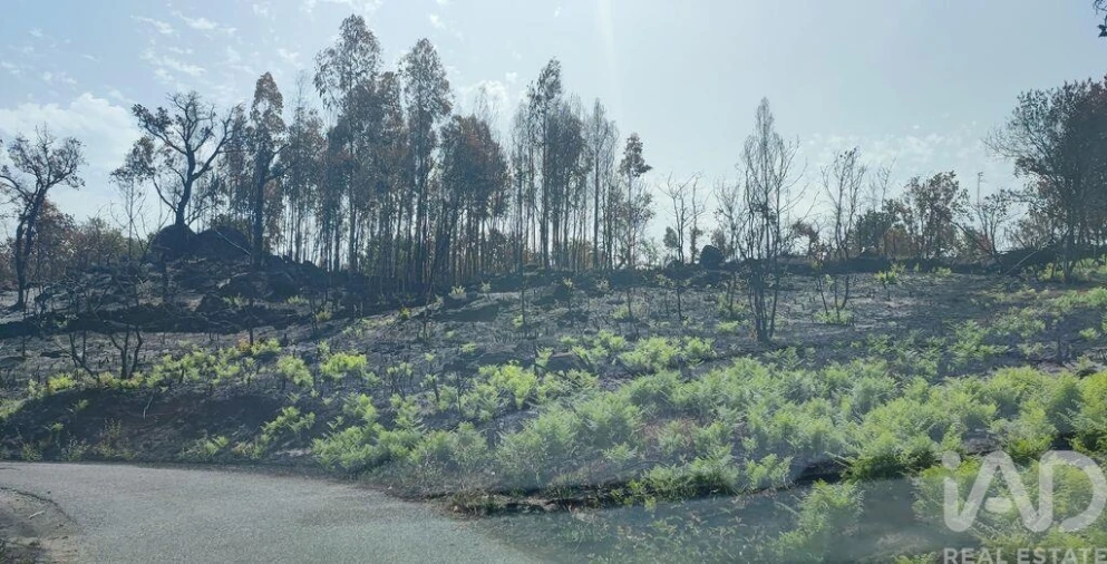 Moradia para Venda em Cambra e Carvalhal de Vermilhas Foto 39