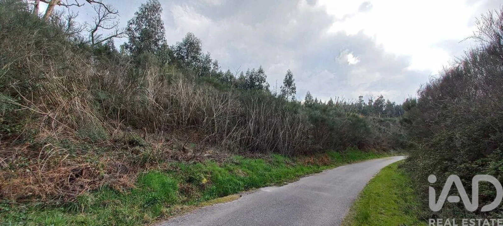 Moradia para Venda em Cambra e Carvalhal de Vermilhas Foto 21
