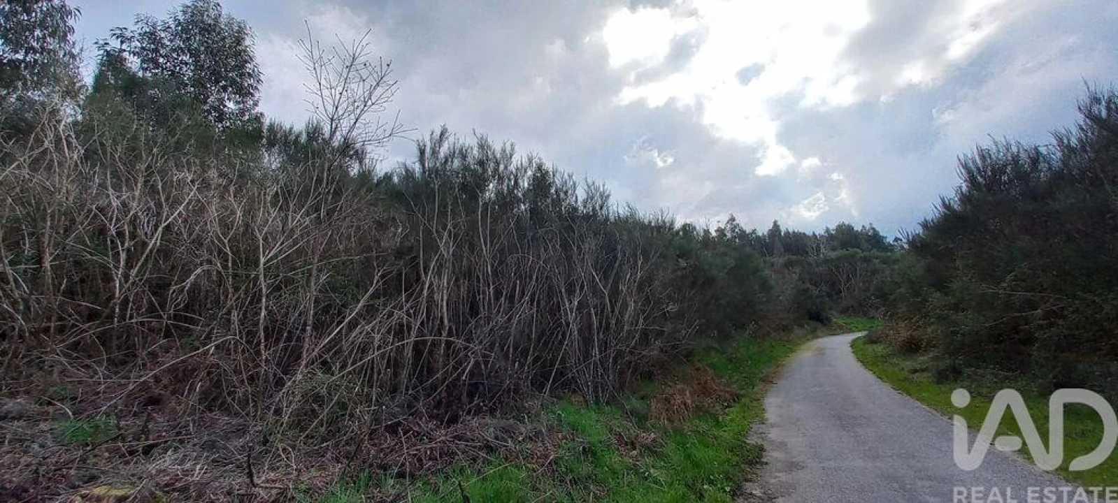Moradia para Venda em Cambra e Carvalhal de Vermilhas Foto 27