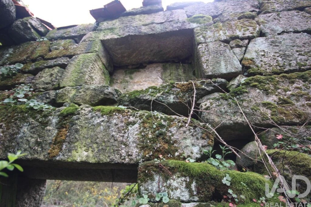 Moradia para Venda em Cambra e Carvalhal de Vermilhas Foto 17