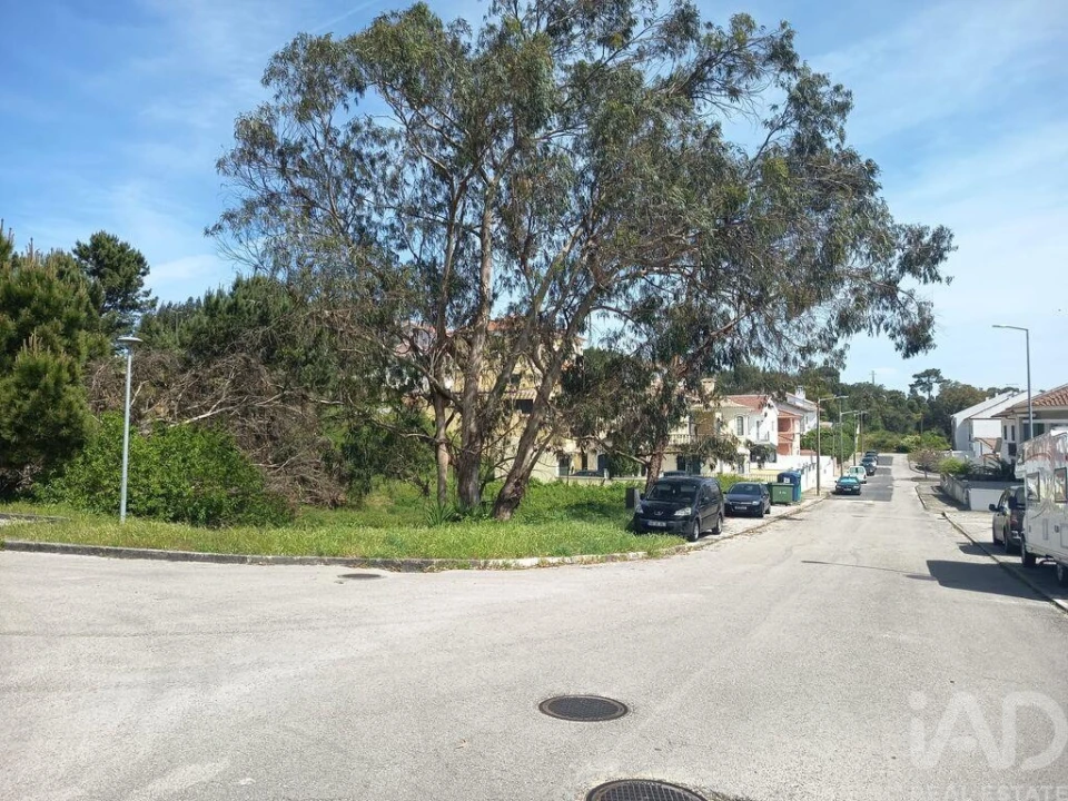 Terreno para Venda em Rio Maior Foto 5