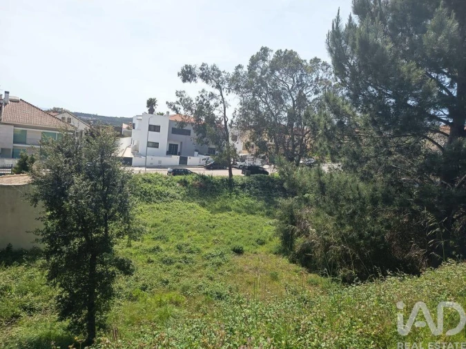 Terreno para Venda em Rio Maior Foto 9