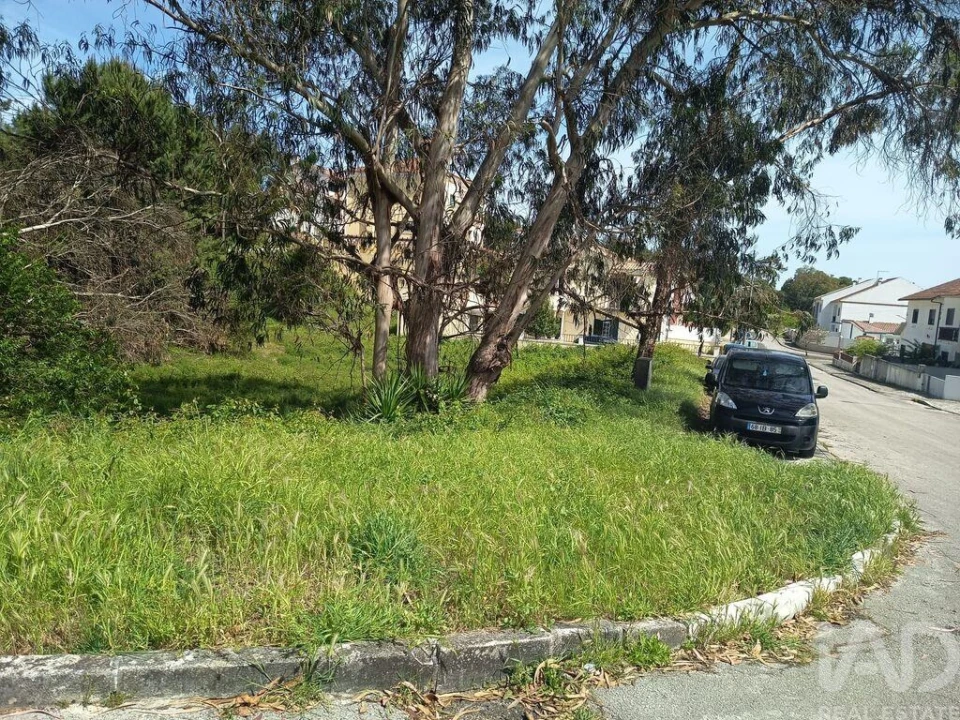 Terreno para Venda em Rio Maior Foto 2
