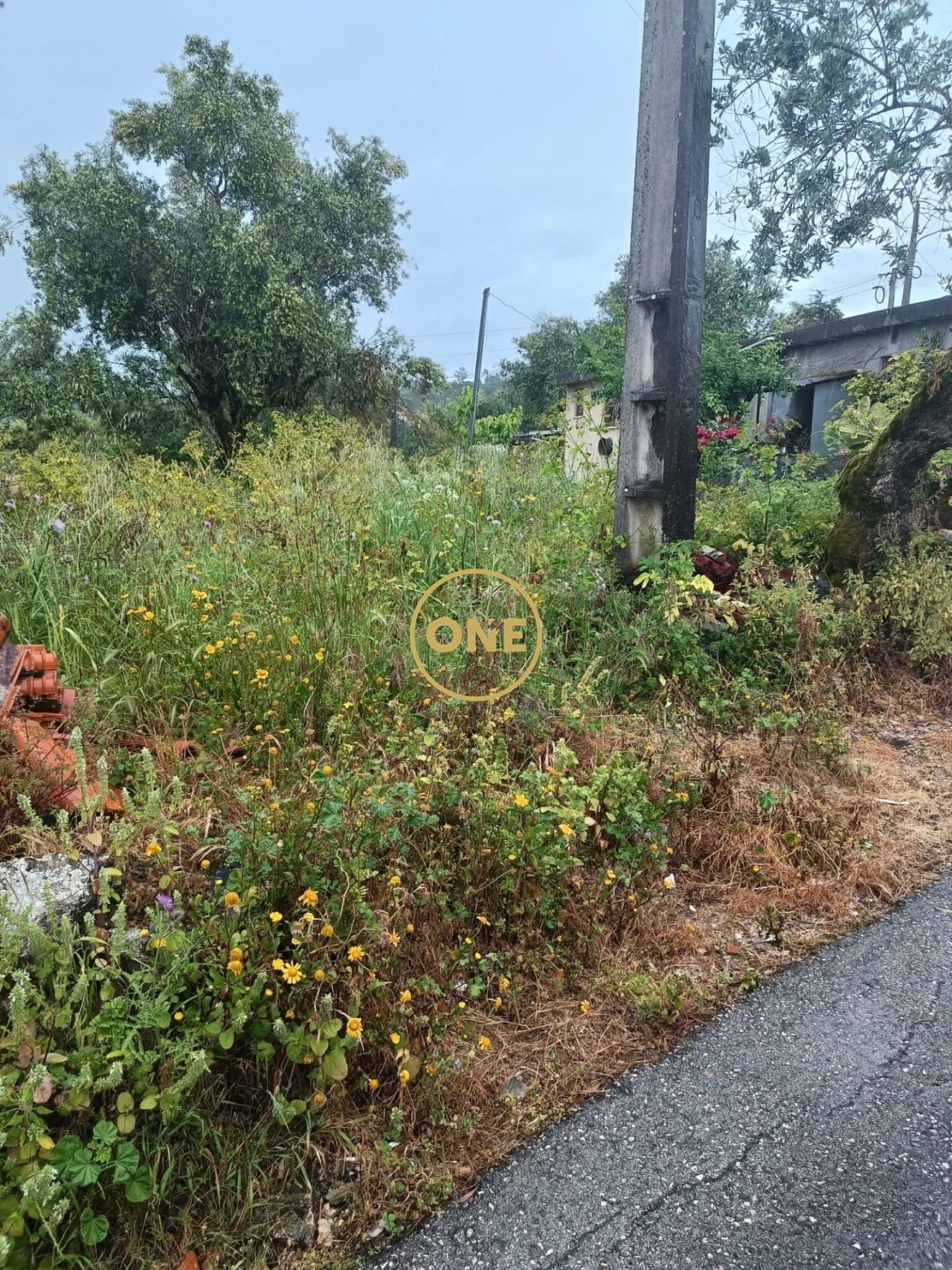 Terreno para Venda em Condeixa-A-Velha e Condeixa-A-Nova Foto 3