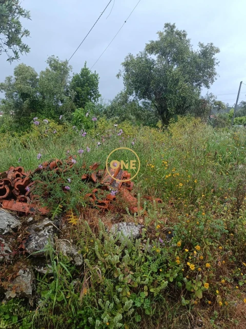 Terreno para Venda em Condeixa-A-Velha e Condeixa-A-Nova