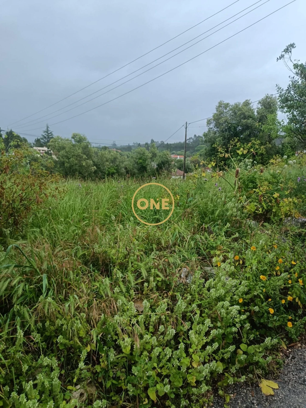 Terreno para Venda em Condeixa-A-Velha e Condeixa-A-Nova Foto 10