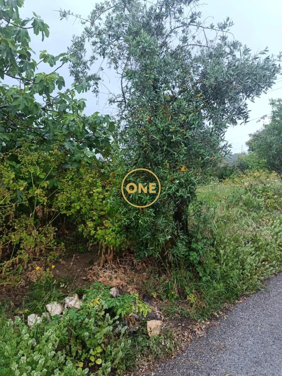 Terreno para Venda em Condeixa-A-Velha e Condeixa-A-Nova Foto 8