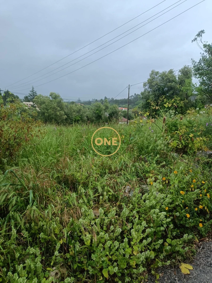 Terreno para Venda em Condeixa-A-Velha e Condeixa-A-Nova Foto 10