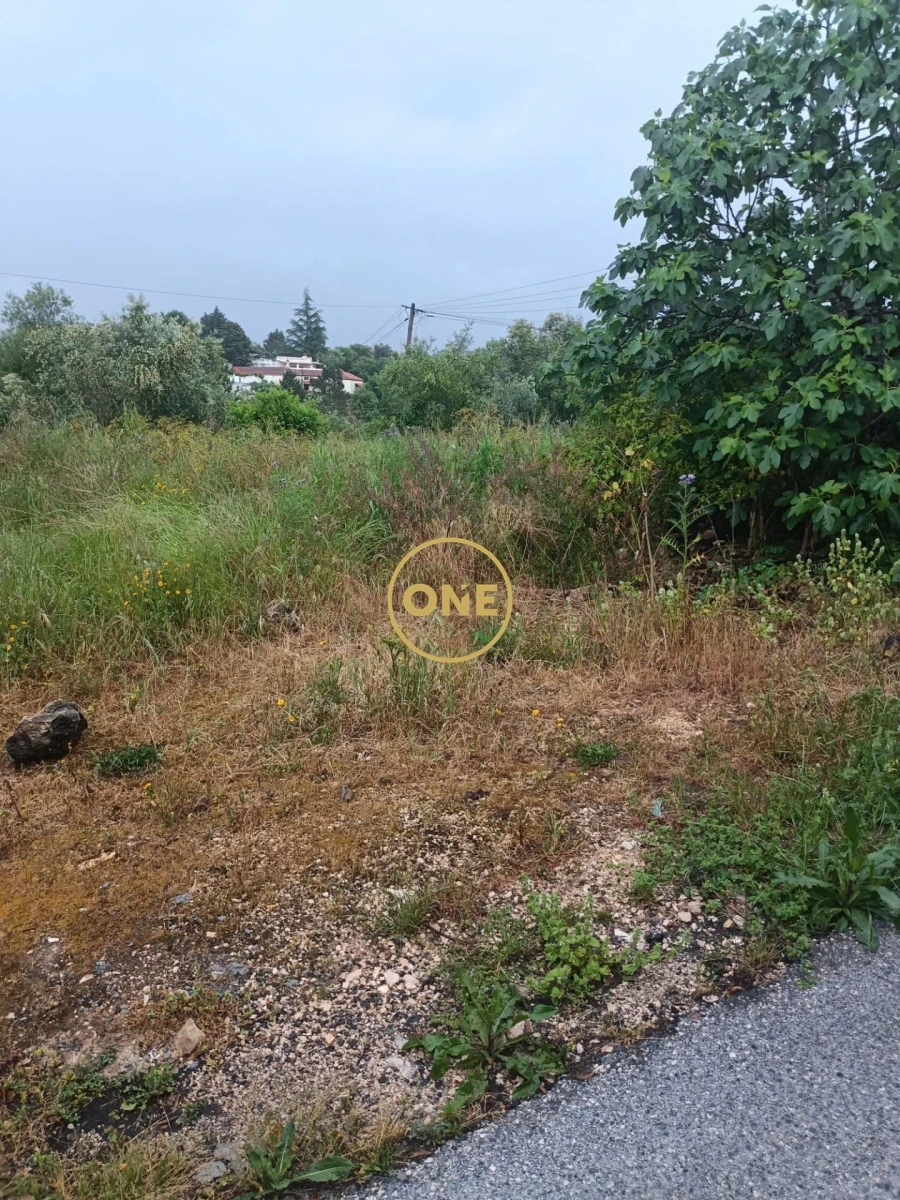 Terreno para Venda em Condeixa-A-Velha e Condeixa-A-Nova Foto 6