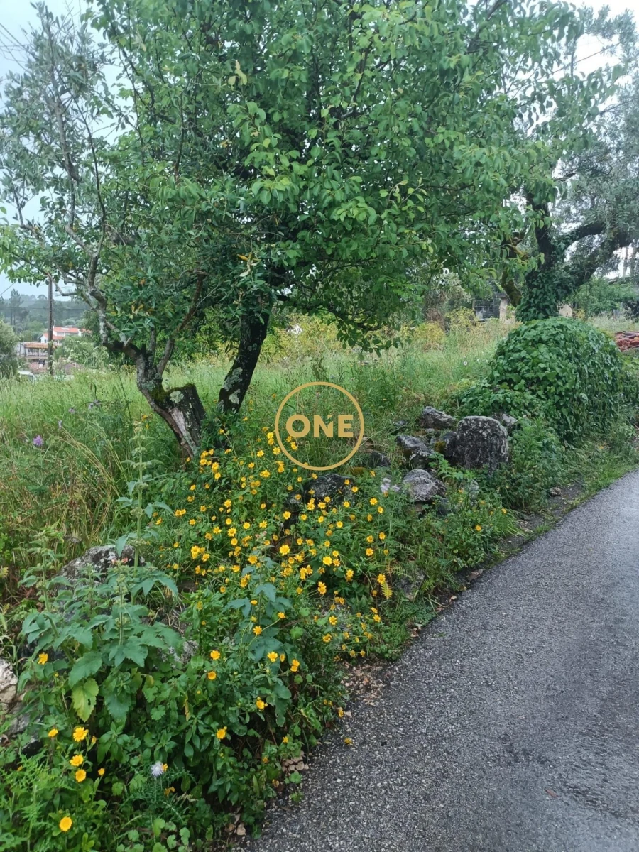 Terreno para Venda em Condeixa-A-Velha e Condeixa-A-Nova Foto 2