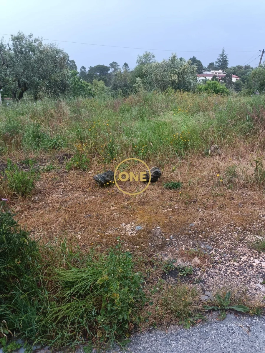 Terreno para Venda em Condeixa-A-Velha e Condeixa-A-Nova Foto 4
