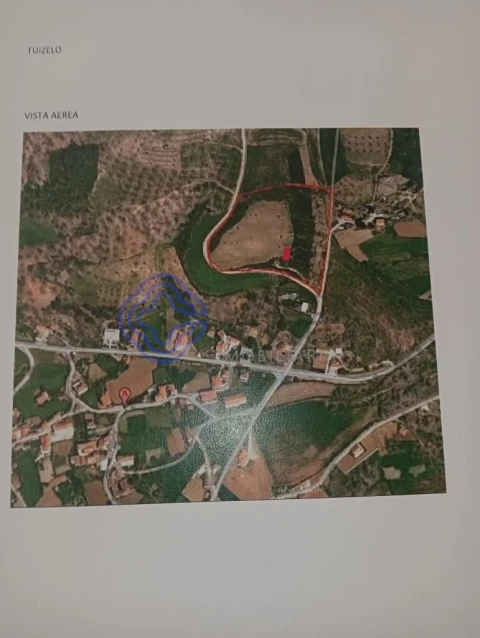 Terreno para Venda em Tuizelo