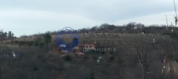 Terreno para Venda em Tuizelo