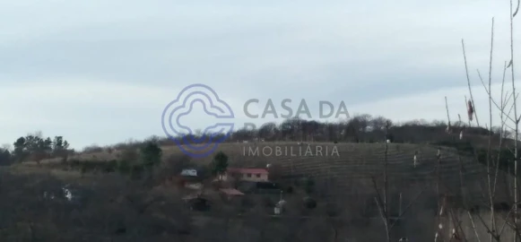 Terreno para Venda em Tuizelo