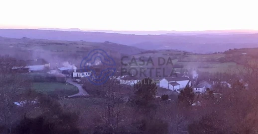 Terreno para Venda em Tuizelo