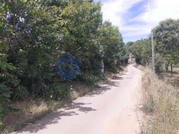 Terreno para Venda em Tuizelo