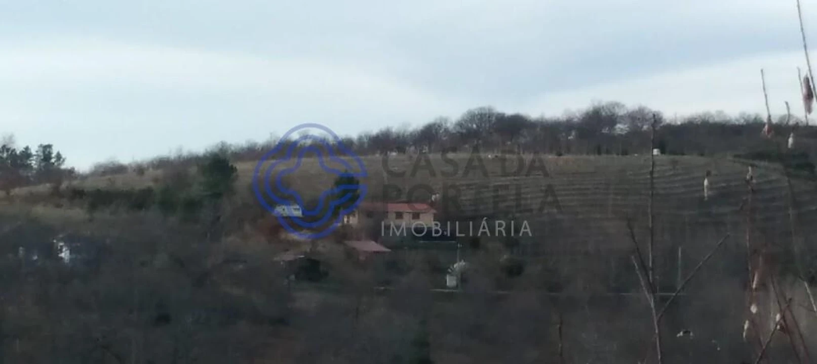 Terreno para Venda em Tuizelo Foto 5