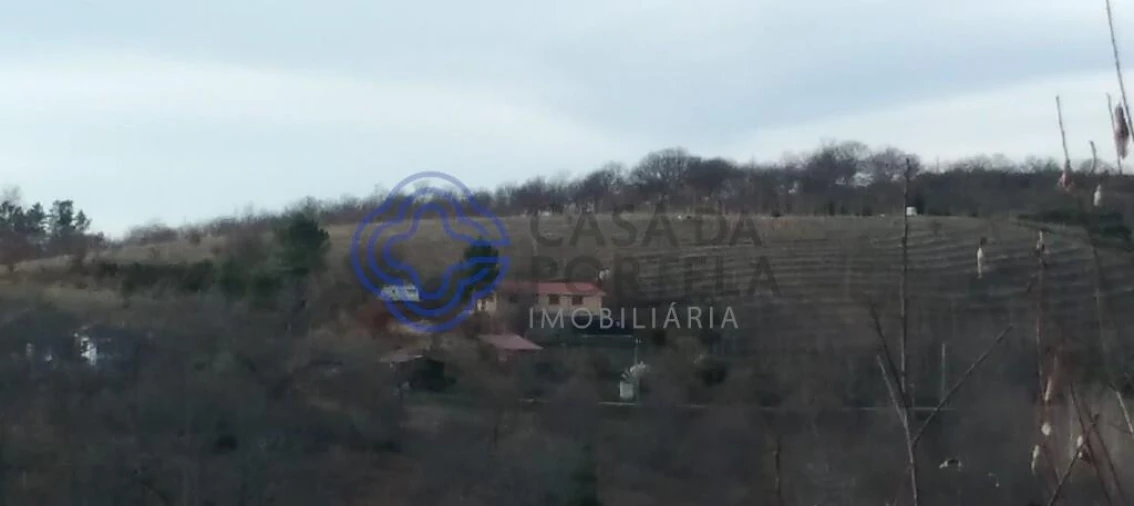 Terreno para Venda em Tuizelo Foto 5