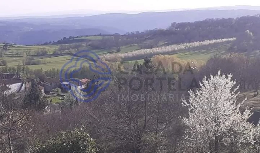 Terreno para Venda em Tuizelo Foto 6