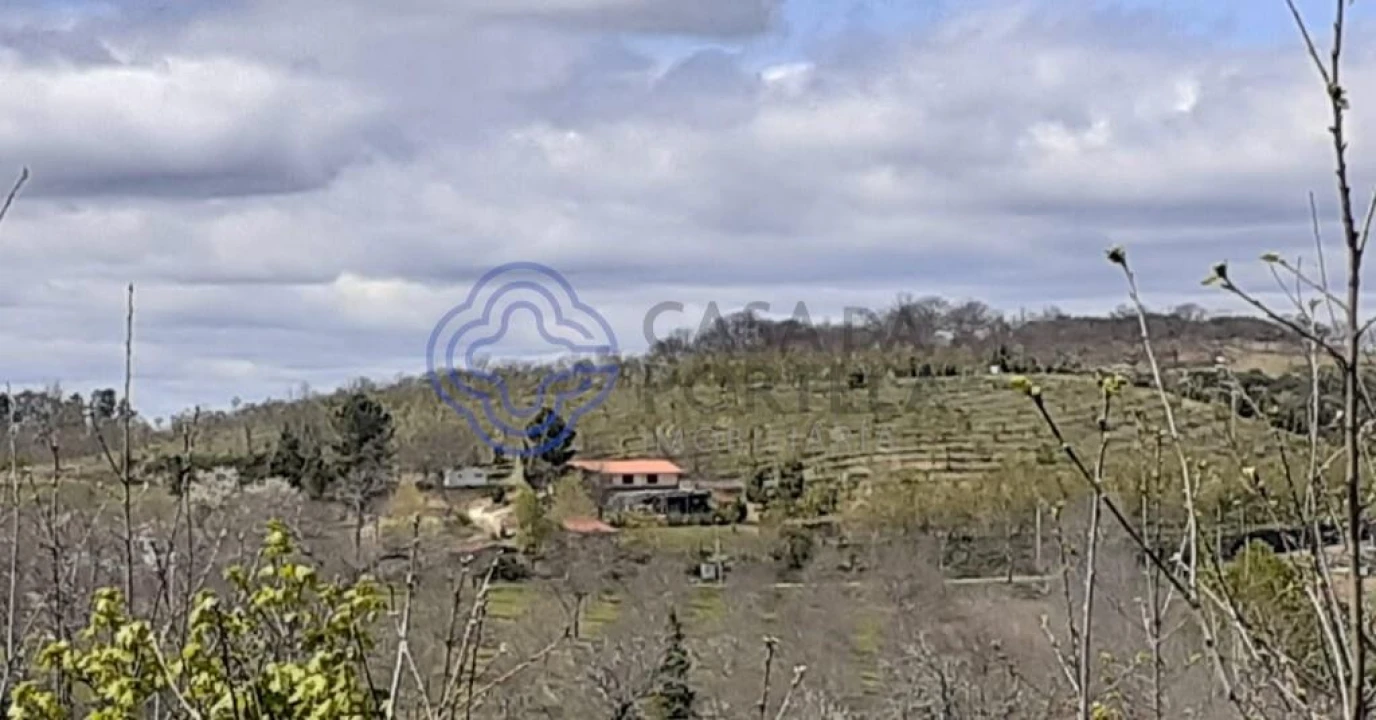 Terreno para Venda em Tuizelo Foto 1