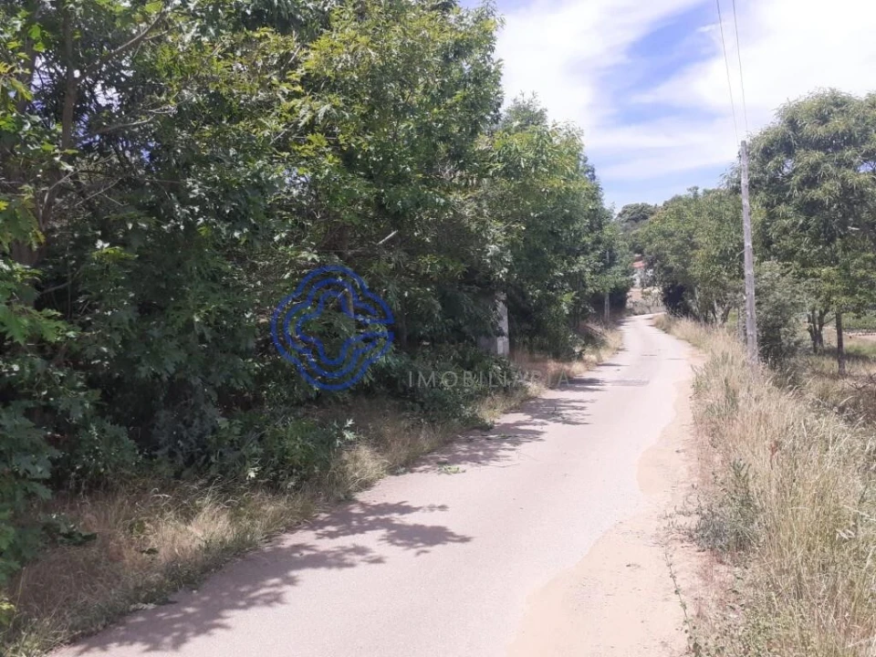 Terreno para Venda em Tuizelo Foto 2