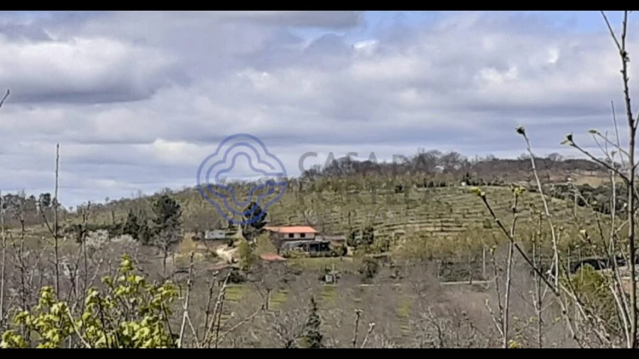 Terreno para Venda em Tuizelo