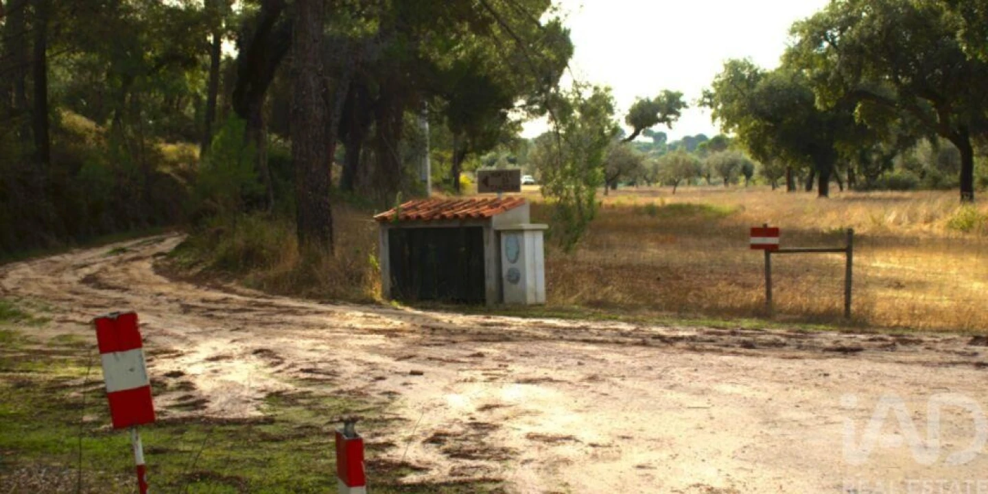 Terreno para Venda em Galveias Foto 1