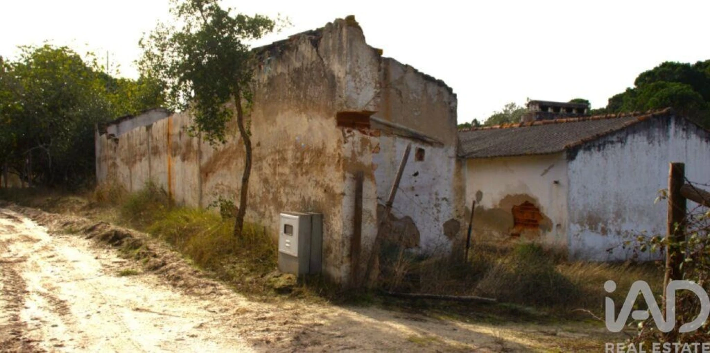 Terreno para Venda em Galveias Foto 2