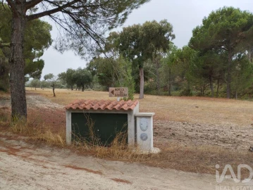 Terreno para Venda em Galveias