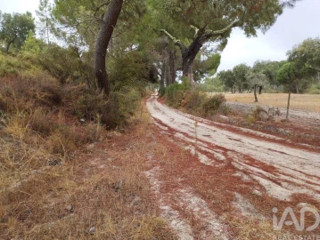Terreno para Venda em Galveias